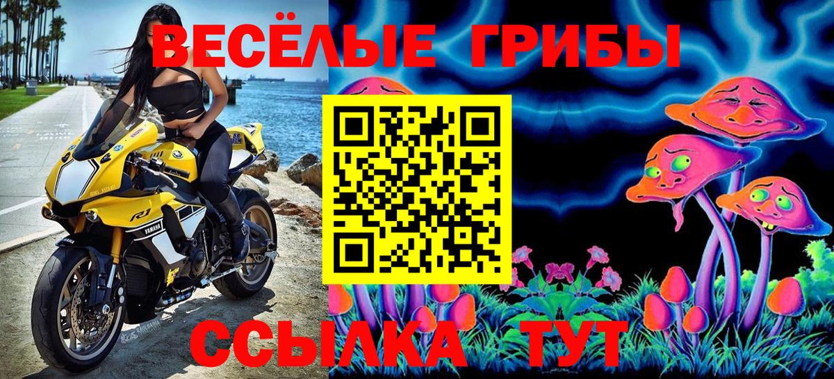 Кыштым  Галлюциногенные грибы Psilocybe  Вход с VPN 
